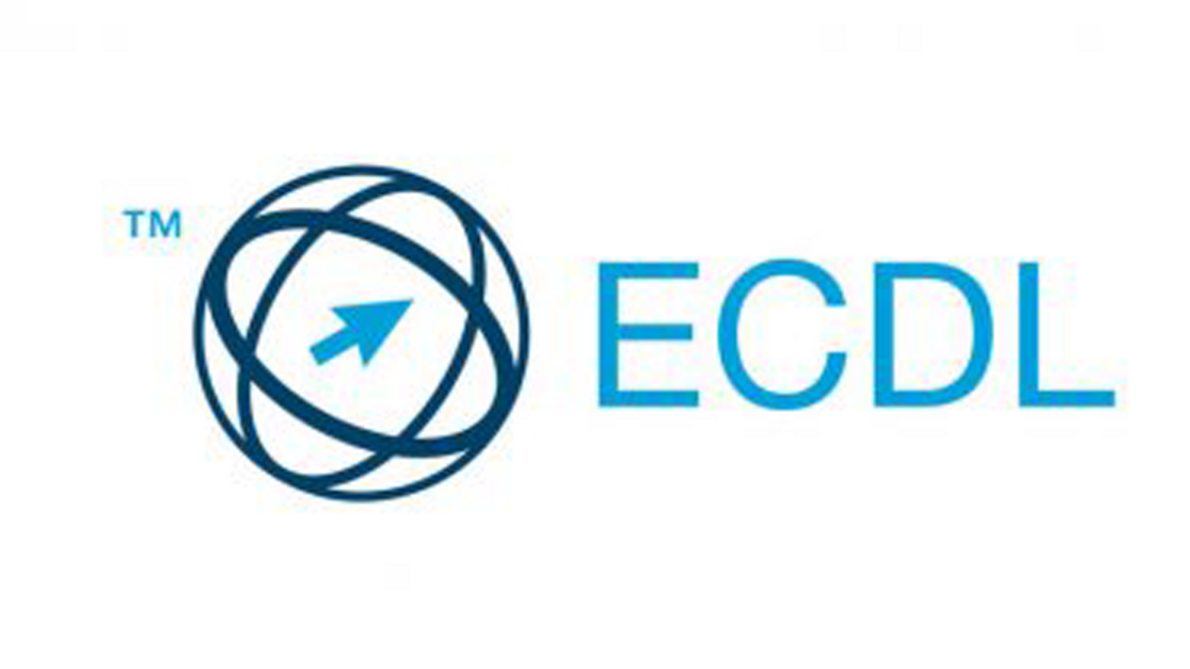 portofolio element image