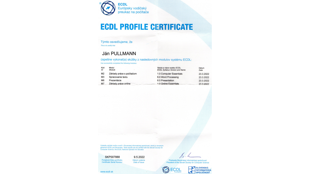 portofolio element image