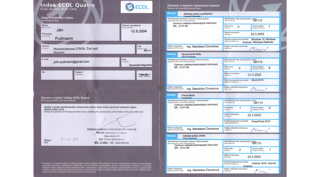 portofolio element image