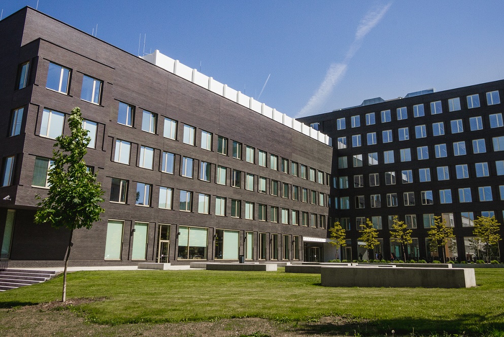 portofolio element image