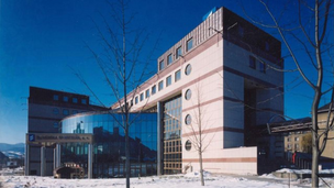 portofolio element image