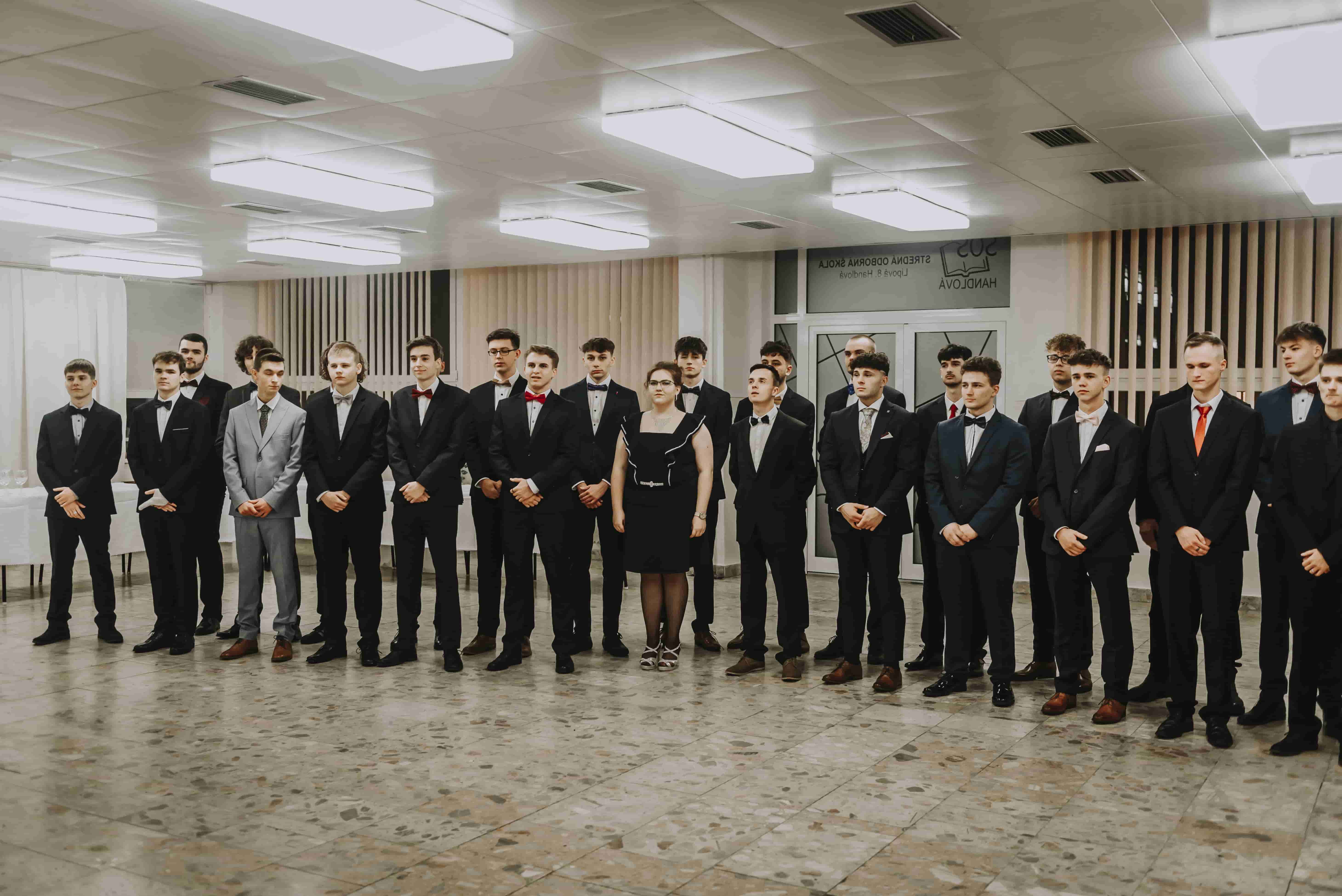 portofolio element image