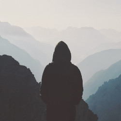 portofolio element image